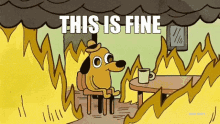This is fine reaction GIF for CTF scoreboard chaos